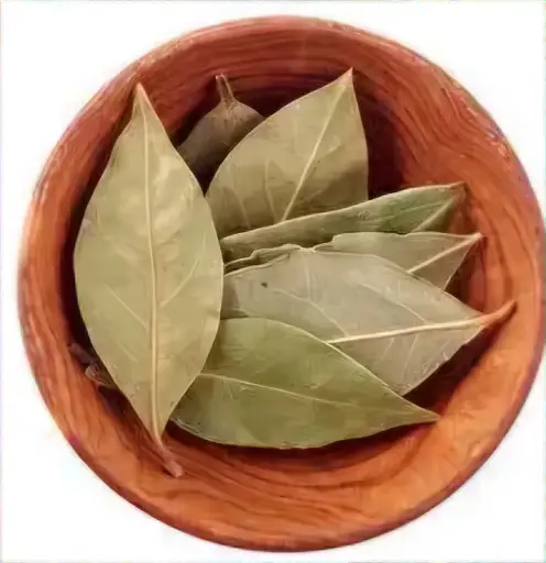 Tej Patta